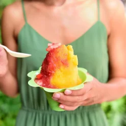 Dessert Makers Great Northern 32 Oz. Blue Countertop Snow Cone Machine -BergHOFF Shop blue great northern snow cone machines hwd630232 44 1000